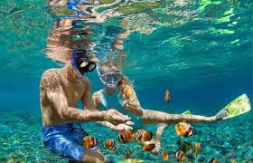 Image result for East Snorkellers