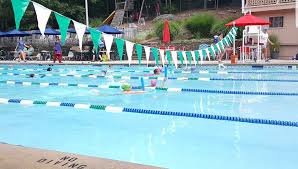 Image result for Sharks Swimming Club Of Mottingham