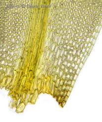 Attēlu rezultāti vaicājumam “Grimmia muehlenbeckii”