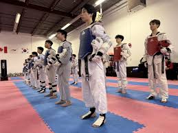 Image result for Kees Tae Kwon Do