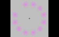 Image result for Lilac Chaser