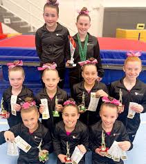 Image result for Diamonds Gymnastics Club