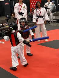 Image result for ATA Martial Arts Mobile