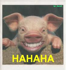 images?q=tbn:ANd9GcRyzf7R6oYxUfTP1VMJH0JNYJFX8CAZ4rQm2XU4toBWT3QQniaqN6ojhtlU6g