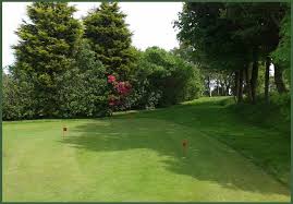 Image result for Green Haworth Golf Club