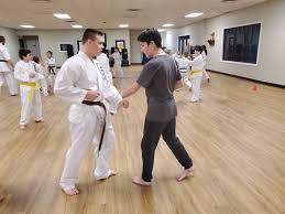 Image result for Hetton and Murton Karate Academy