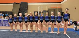 Image result for Focus Institute of Gymnastics