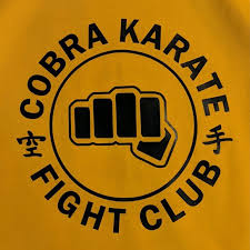 Image result for Cobra Karate Club