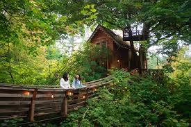 Image result for Reading Bridge Club