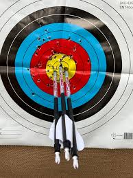Image result for Row Brow Field Archery