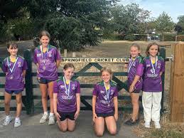 Image result for Saffron Walden Cricket Club