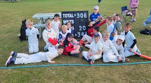 Image result for Aston Rowant Cricket Club