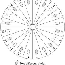 Attēlu rezultāti vaicājumam “Formica rufa pupa”