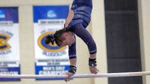 Image result for Biddick Sports College Community Gymnastics Club