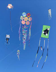 Image result for Kite Club of Scotland