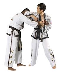 Image result for Logie Durno Choi Kwang Do