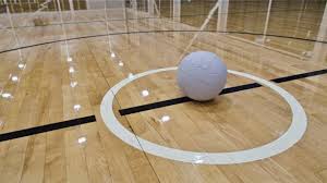 Image result for Sports Centre Netball