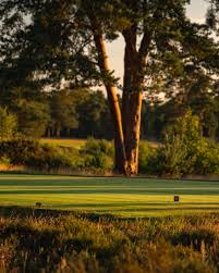 Image result for Hankley Common Golf Club