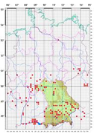 Attēlu rezultāti vaicājumam “Diachromus germanus”