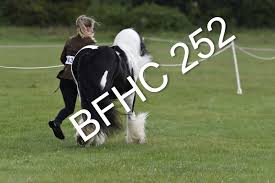 Image result for Blackpool & Fylde Horse Club