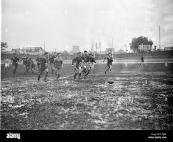 Image result for Victoria Rangers A R L F C