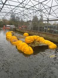 Image result for Dive Solutions, London