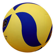 Image result for Paragons Netball Club