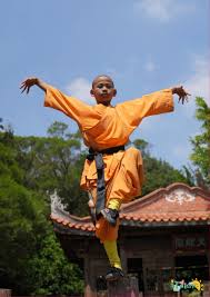 Image result for kung fu