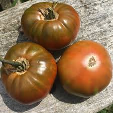 Afbeeldingsresultaat voor cherokee purple tomato