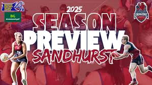 Image result for Red Dragon Netball Team
