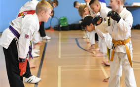Image result for Bracknell TaeKwon-Do Club