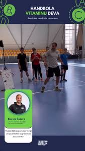 Image result for Deva Handball Club