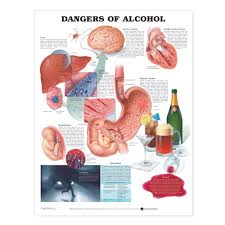 Causes of Alcoholism – Wake Up Before it is Late