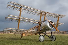 Attēlu rezultāti vaicājumam “Triplax aenea”