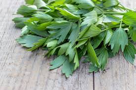 Attēlu rezultāti vaicājumam “Levisticum officinale leaf”