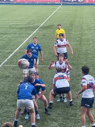 Image result for St Mary's Old Boys Rugby Union Football Club