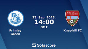 Image result for Frimley Green Football Club