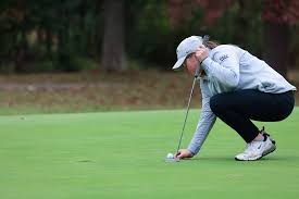 Image result for The Alt Golf Club