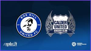 Image result for Box Hill SC