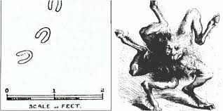 Image result for S England Dive Devil