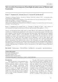 Attēlu rezultāti vaicājumam “Licea testudinacea”