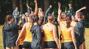 Image result for Engineering Services Netball Club