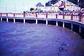 Image result for Channel SC-Weston SM