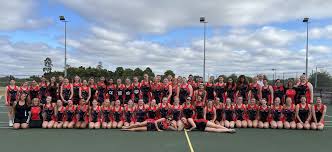 Image result for Wokingham Netball Club