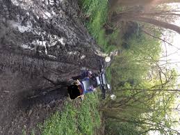 Image result for Green Lane Mountaineering Club, Surrey