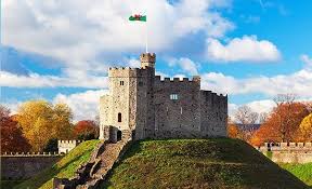 Image result for Cardiff Capitals