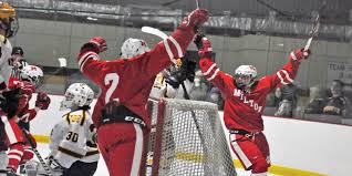 Image result for New Milton Hockey Club