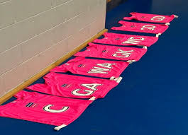 Image result for Watford Premier Netball Club