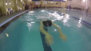 Image result for Ledbury & District Amateur Swimming Club