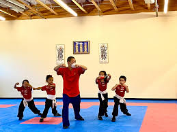 Image result for Wushu Tai Chi Club
